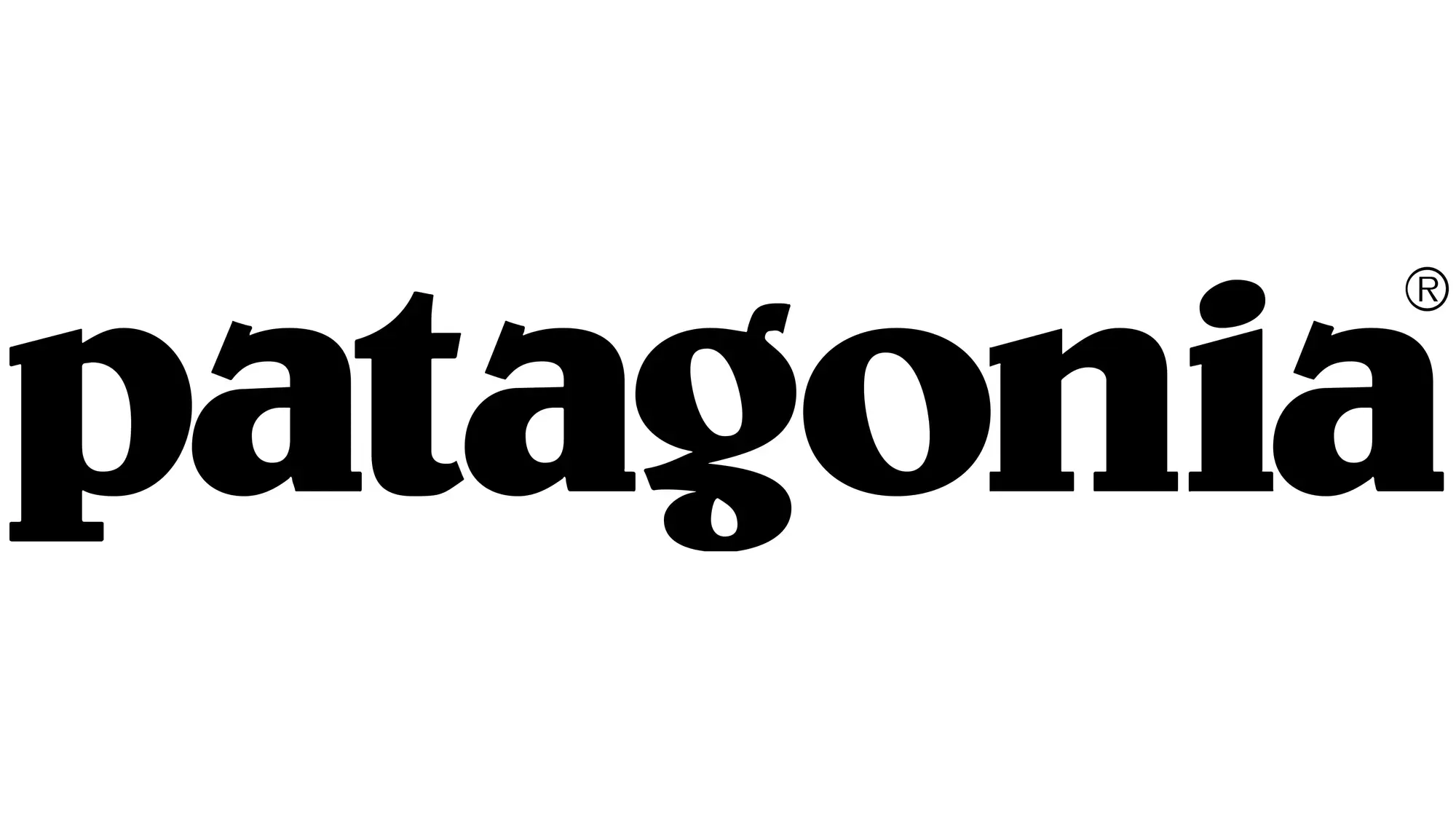 Logo reading Patagonia